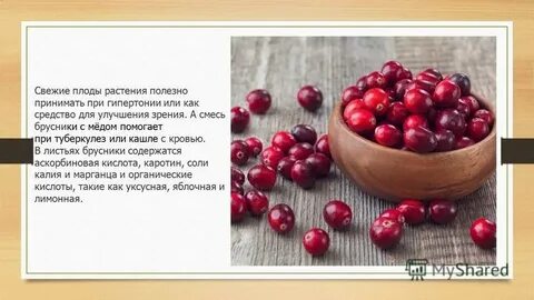 Брусника польза для организма женщины