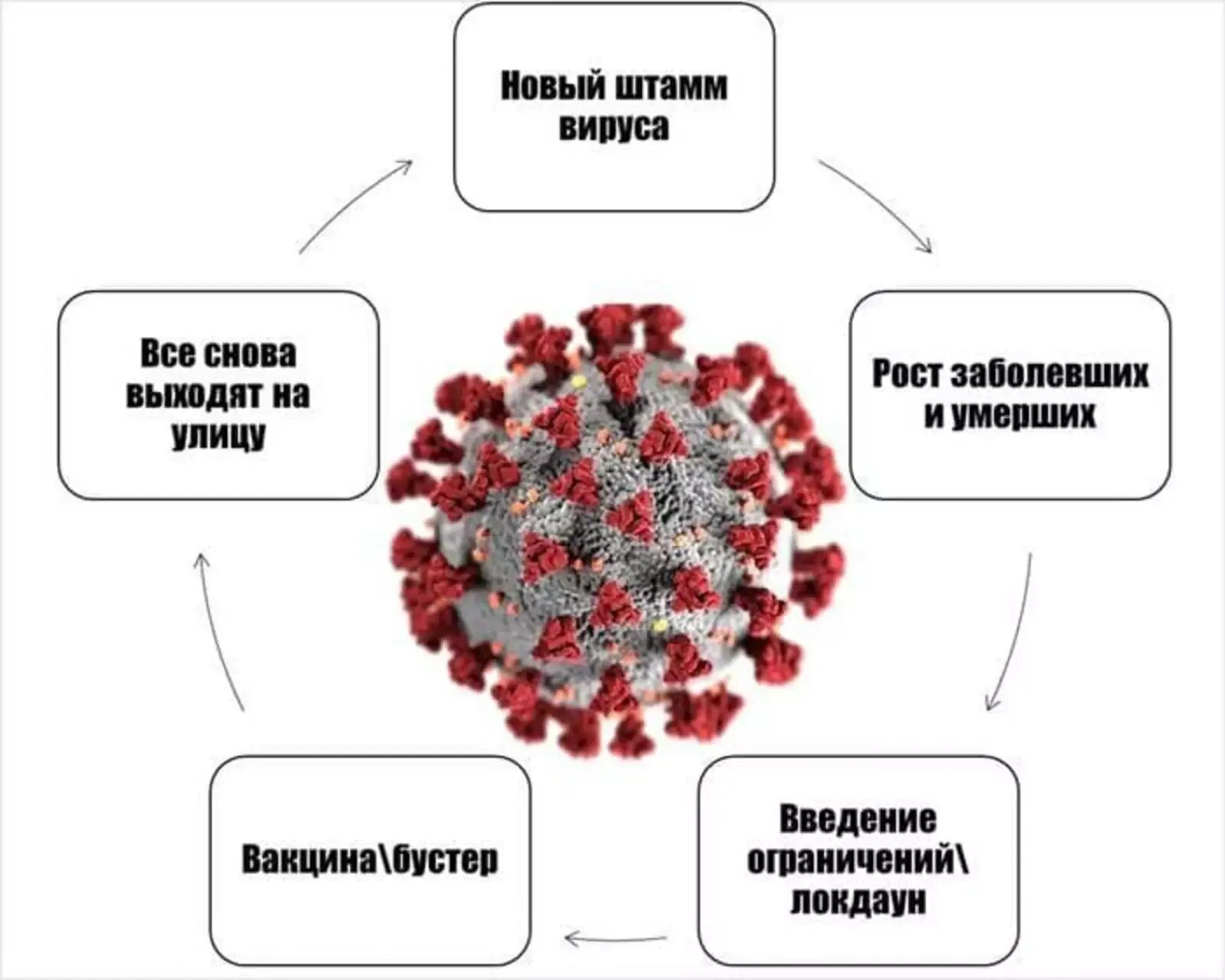 Насколько вирус. Вирус. Омикрон строение вируса. Омикрон картинки вирус. Вирусные картинки для привлечения.