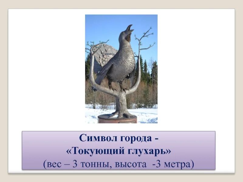 Сколько весит глухарь. Глухарь вес взрослой птицы. глухарь птица вес. вес глухарки.