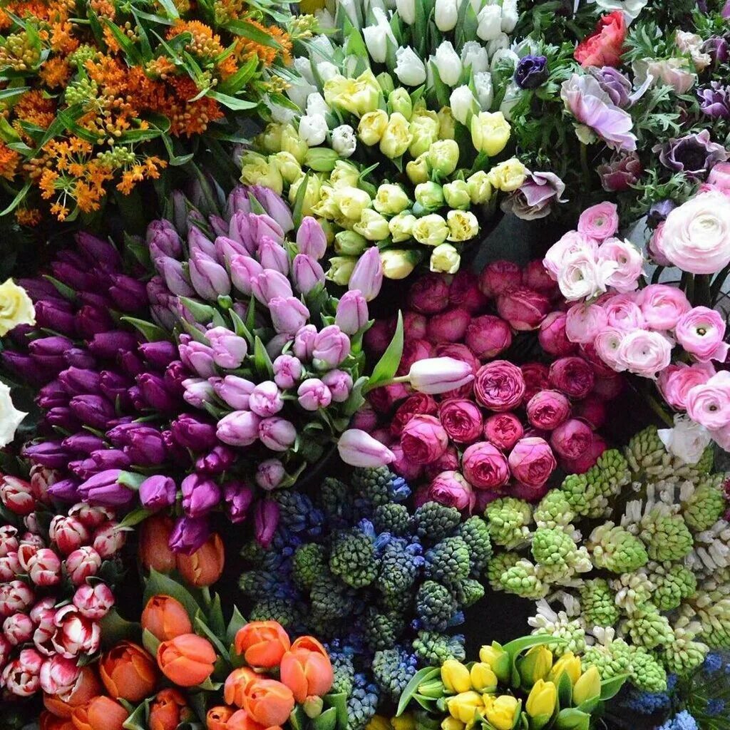 Цветочный магазин экзотические цветы. Свежесрезанные цветы. Цветы срезка. Разнообразие цветов. Цветы экзотика.