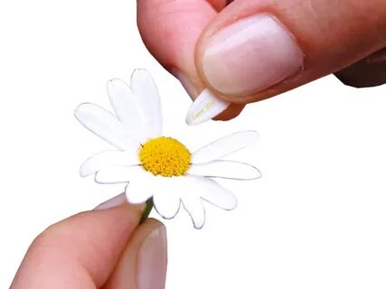 i?id=efa7bdc0b16936dd6a5d00644a7606b7481