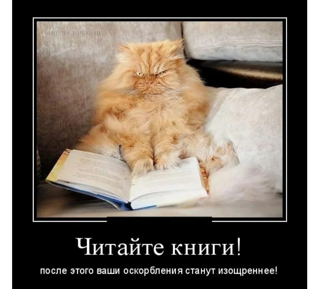 Не читано