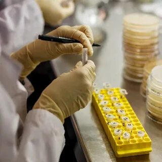 Микробиология и биотехнология
