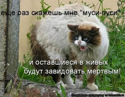 Ну раз ты не знаешь