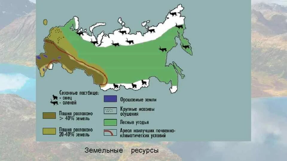 Пастбища России карта. Природно-хозяйственные зоны страны. Зона оленьих пастбищ России. Оленьи пастбища в России на карте. Ареал распространения оленьих пастбищ