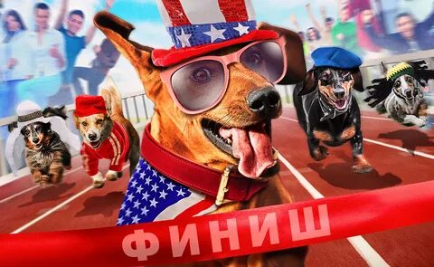 Супер такса 2015