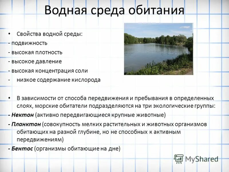 Среда обитания плотность. Среда обитания плотность