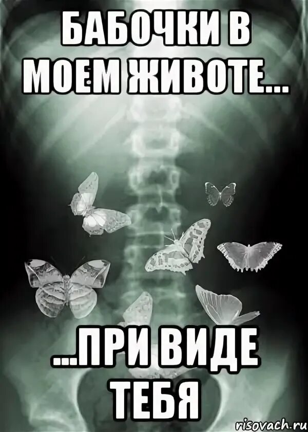 Нравишься ты мне бабочки появились. У меня бабочки в животе. ощущение бабочек в животе. бабочки в животе цитаты. бабочки внутри живота.
