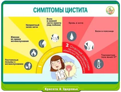 Цистит симптомы препараты