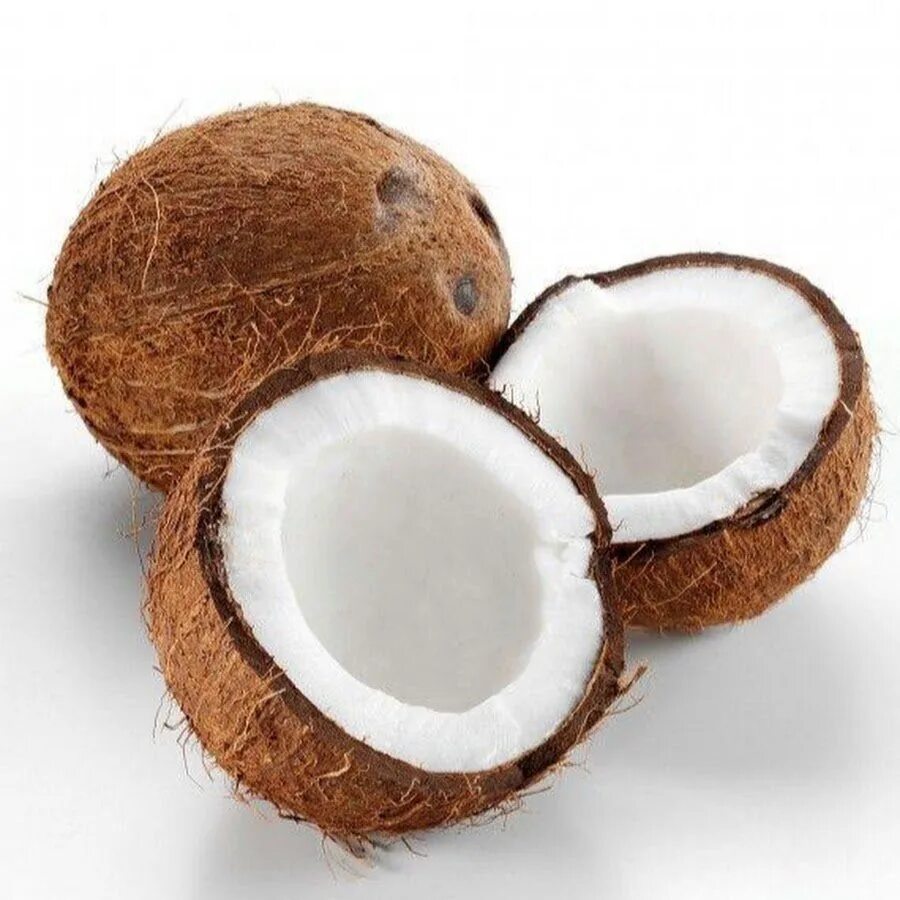 Кокосовый орех. Красивый кокос. Кокос coconut. Фотографии кокосов. Фотографии кокосов.