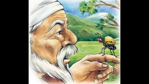 Күйеуім ұрығын жақсы көреді