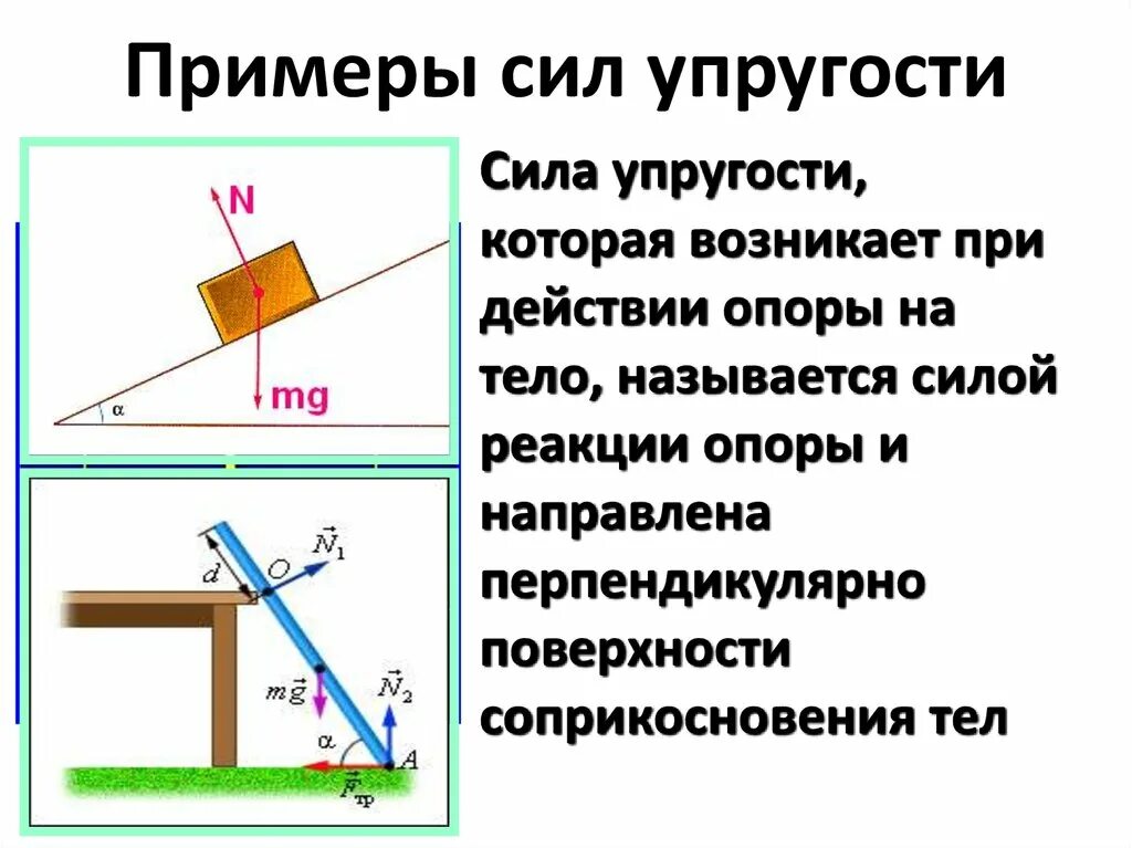 На рисунке представлена сила упругости