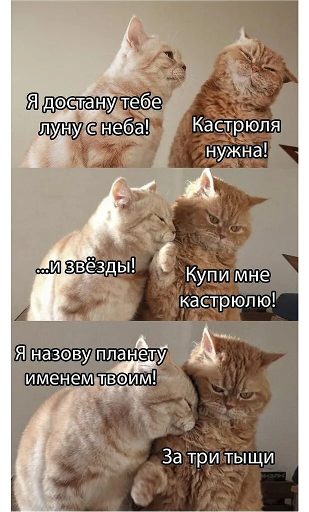 Что ты за это хочешь