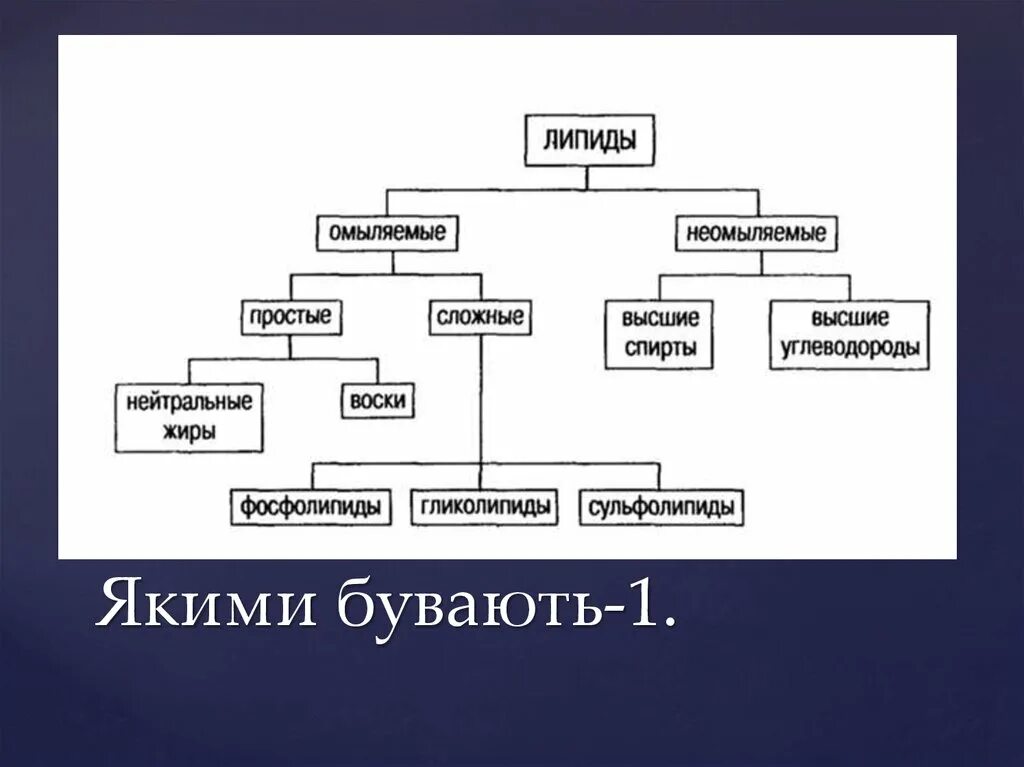 Основные липиды тканей человека. Классификация липидов схема. Сложные липиды классификация. Простые липиды классификация. Классификация липидов простые и сложные.