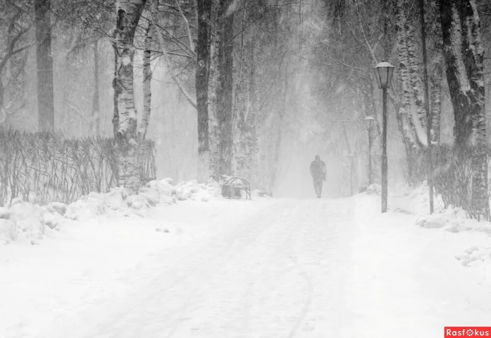 белый снег. мужчина зимой. ". снег летает снег кружится. слушать песню снег идет ложится на дорогу.