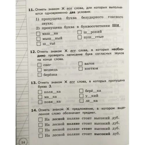 Русский язык всоко 3 класс ответы. ВСОКО 3 класс русский. ВСОКО 1 класс русский язык задания. ВСОКО 2 класс русский. Языканова русский язык 2 класс.