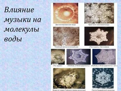Влияние слов статьи