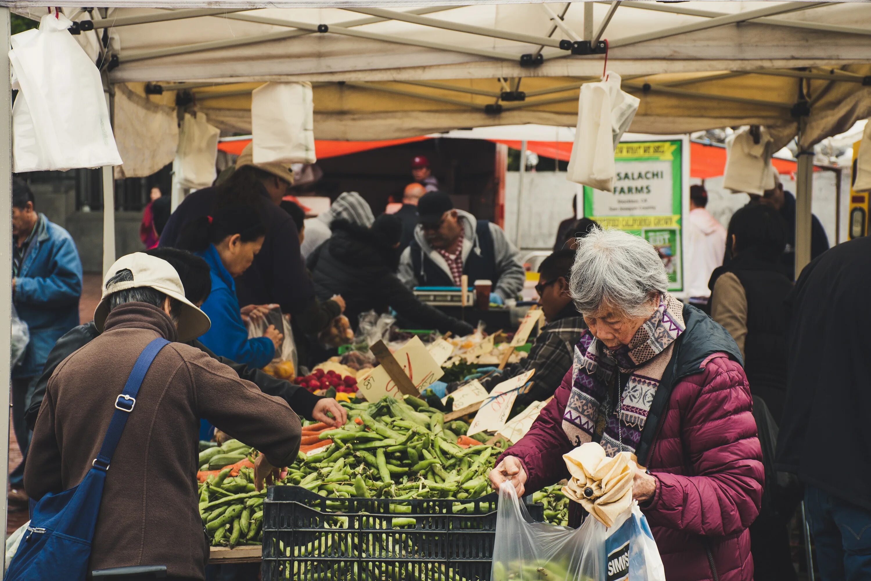 Люди на рынке. Люди на базаре. Толпа на базаре. Рынок растений. Humans market