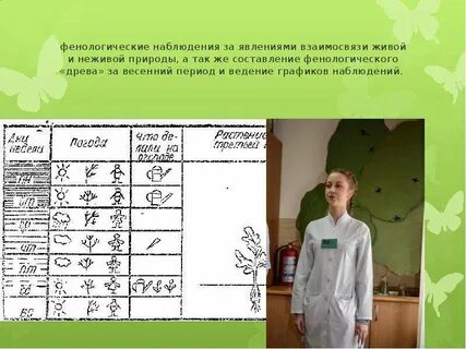 Фенологические наблюдения 5 класс биология осень дерево