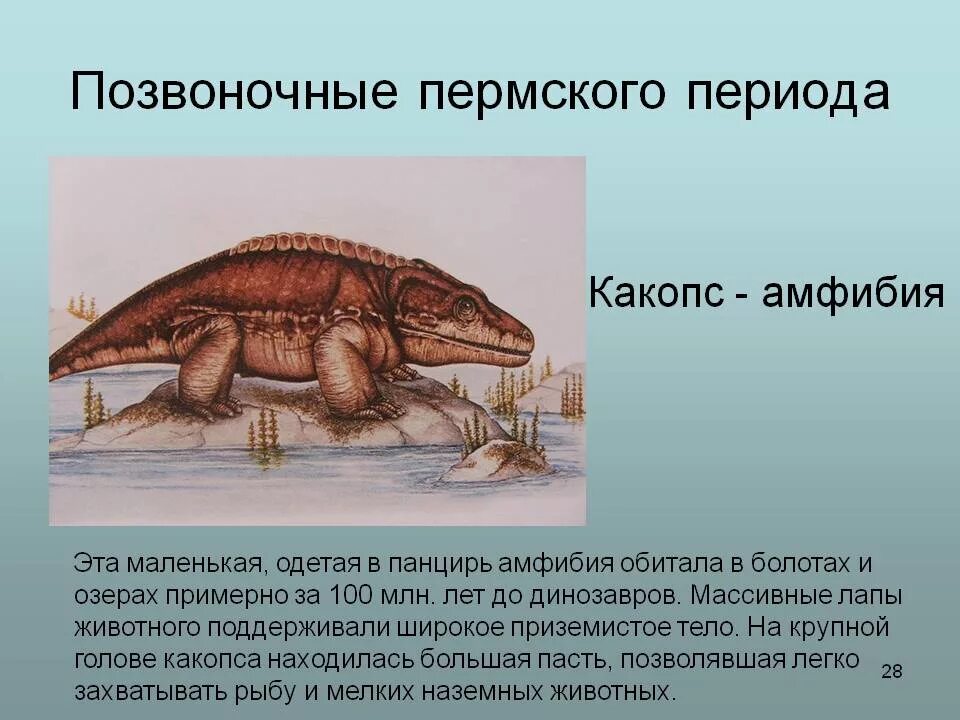 Сообщение о древнейших рыбах земноводных пресмыкающихся