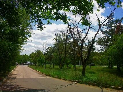 Симферополь переулок