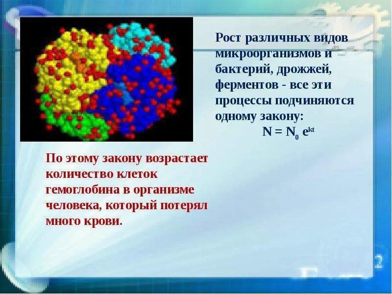 Фермент дрожжи. Ферменты дрожжей. Амилазы в дрожжах. Рост различных микроорганизмов, бактерий, дрожжей и ферментов график. Источник амилазы дрожжи бактерии.