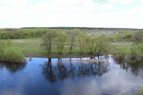 Брянск хотылево маршрутки