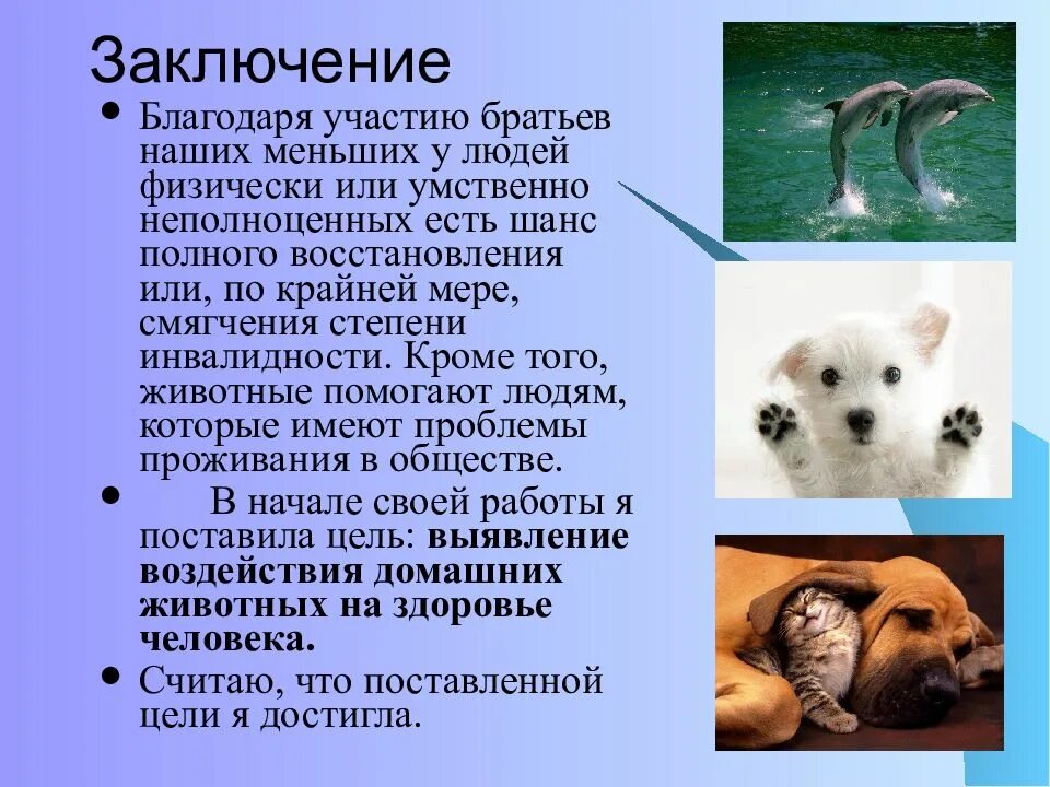 Физиологические состояния животных. Друзья наши меньшие презентация. заключение про животных. вывод животные. братья наши меньшие вывод.