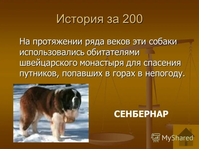 Как человек использует собак. Как человек использует собак