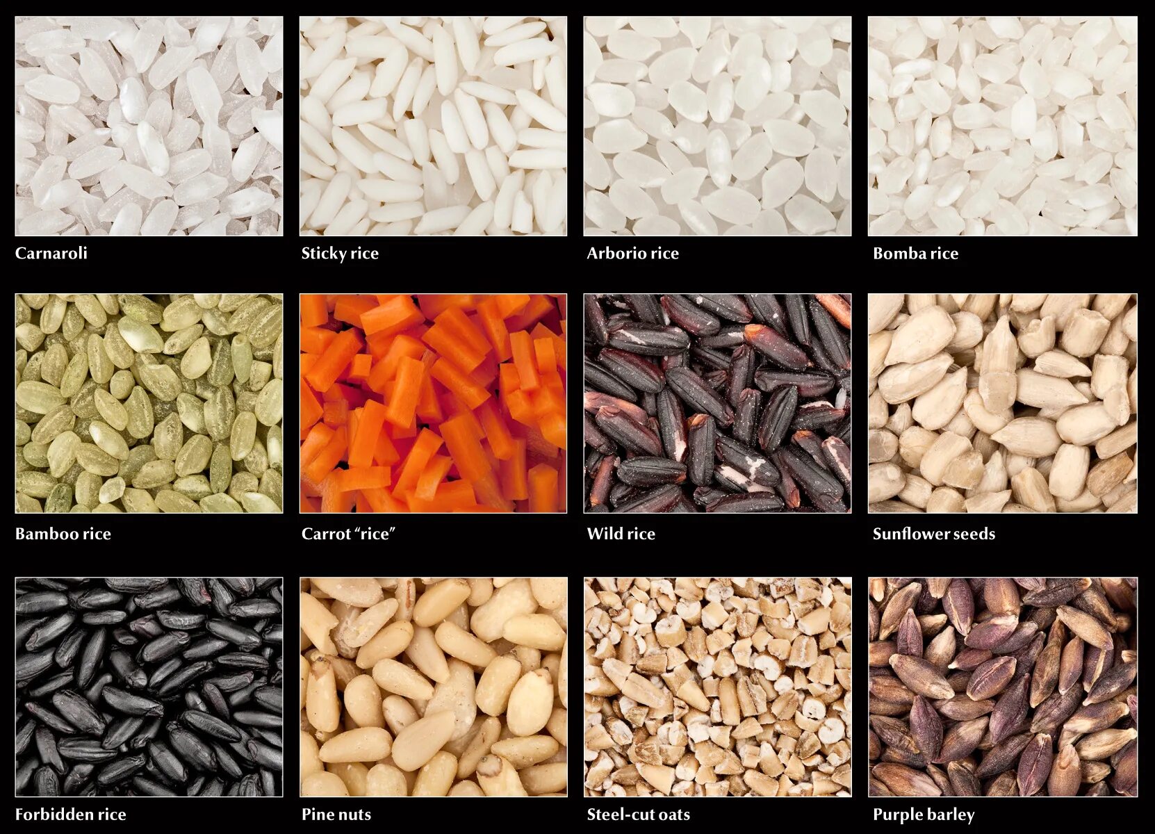Различие риса. Арборио, карнароли и виалоне нано. Рис арборио. Сорта риса. Разные сорта риса.