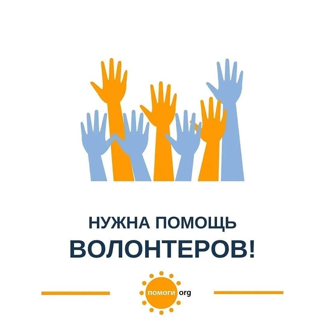 Ищем добровольцев. Нужны волонтеры. ищем волонтеров. набор волонтеров. нужны добровольцы.
