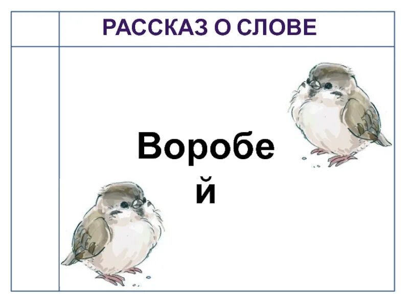 Воробьи транскрипция. Слово Воробей. Сообщение о воробьях маленькое. Воробей проект о слове. Согласные звуки твердые слово не воробей