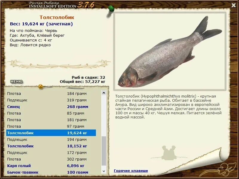 толстолобик пёстрый в игре реальная рыбалка. амур рыба на что ловить. толстолобик пестрый реальная рыбалка. реальная рыбалка. русская рыбалка толстолобик.