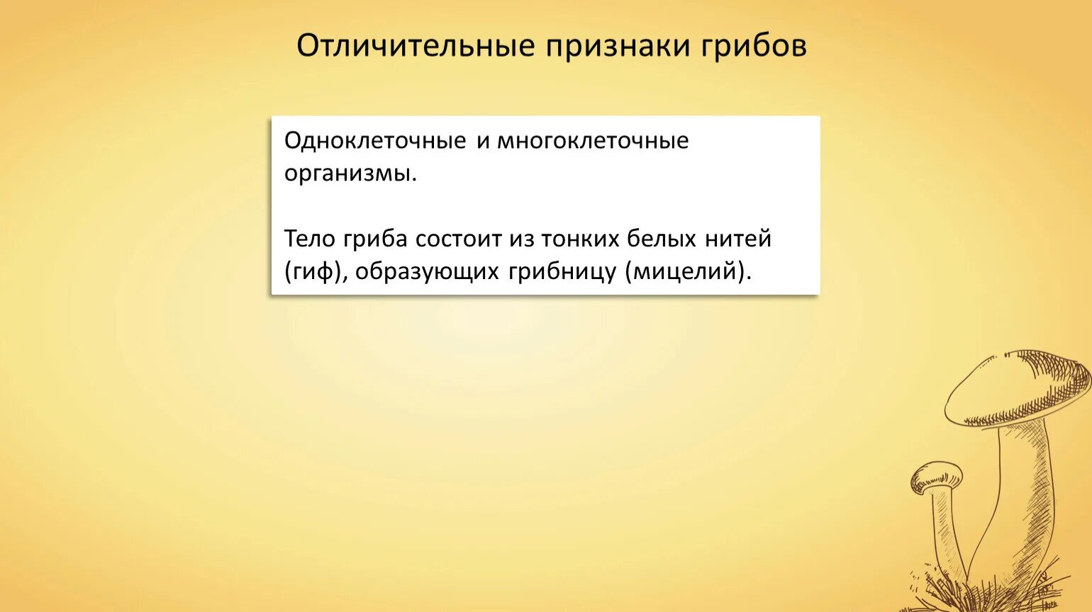 Признаки грибов кратко. Отличительные признаки грибов. Тонкие белые нити образующие тело гриба. Отличительные особенности грибов. Общие признаки грибов.