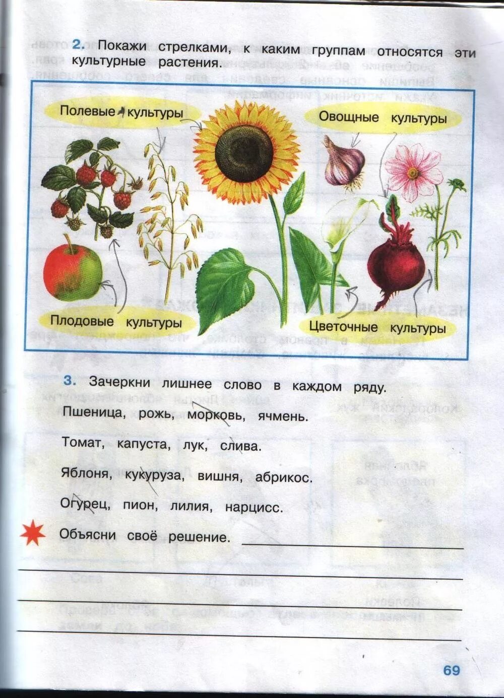 Окружающий мир 2 4 3