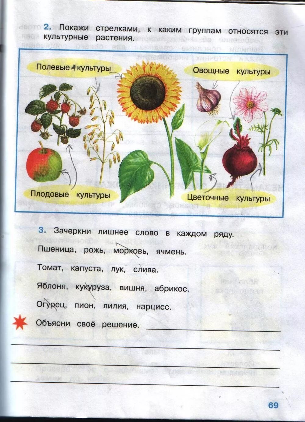 Домашняя работа по окружающей рабочая тетрадь. Окружающий мир 4 класс рабочая тетрадь 1 часть Плешаков стр 68-69. Окружающий мир 4 класс рабочая тетрадь 1 часть Плешаков стр 69. Окружающий мир 4 класс рабочая тетрадь стр 69 1 часть Плешаков Крючкова. Окружающий мир 4 класс рабочая тетрадь 2 часть Плешаков стр 69.