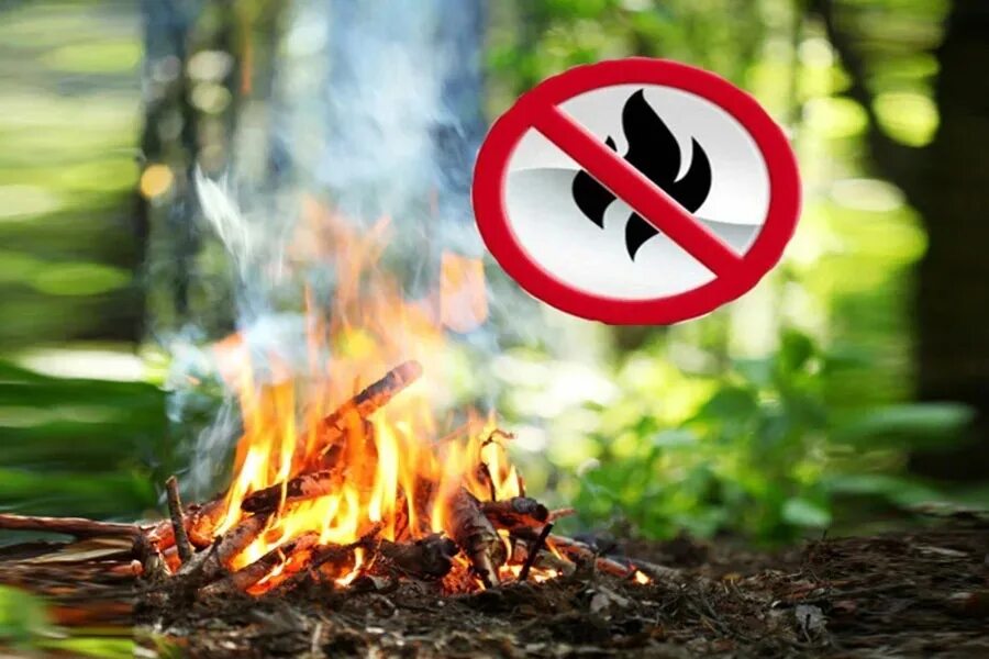 Где запрещено разводить костры на сухой траве. Нельзя разжигать огонь в лесу. Разжигание костра в лесу. Запрещено разводить костры в лесу. Костер в лесу пожар.