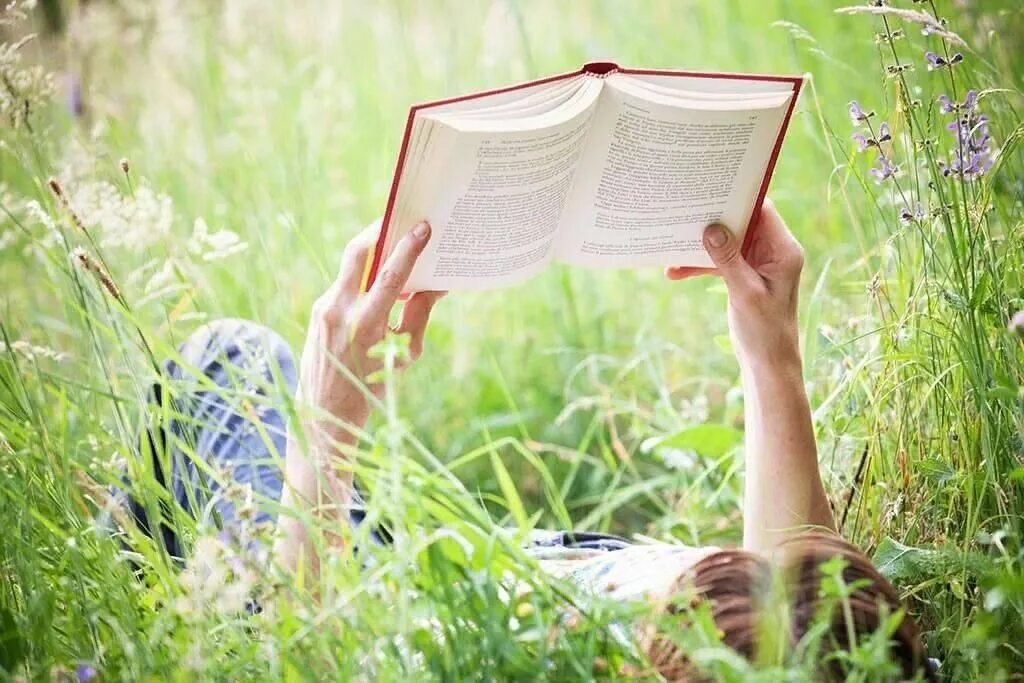 Растения читатели. Лето с книгой. Чтение на природе. Книга природа. Чтение на лето.
