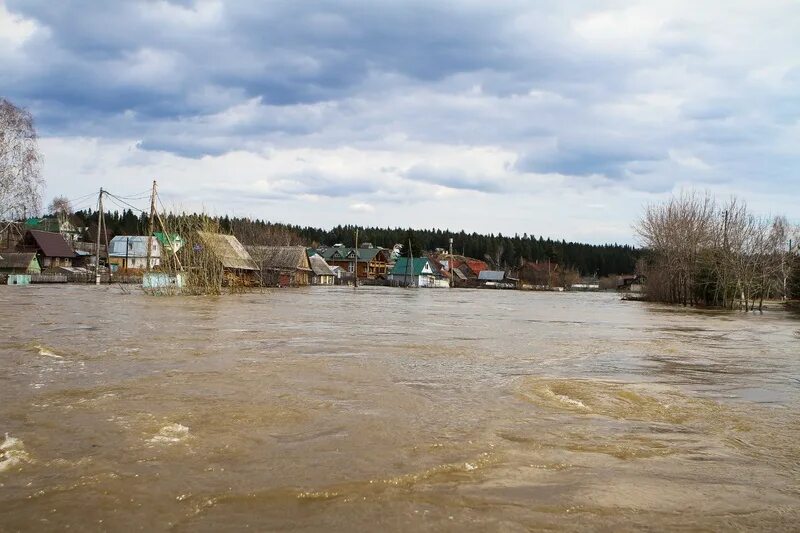 Погода в заварзино томской. Мост в заварзино томск. Заварзино на карте. Заварзино томск. Заварзино томская область.