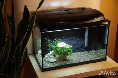 Аквариум pearl
