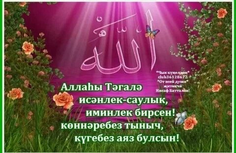 Сез кайда