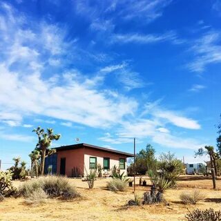 Desert dreams