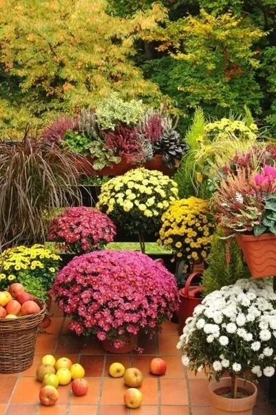 Colorful Home Decorating with Fall Flowers, Inspiring Fall Decorating Ideas Fall