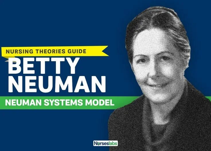 Theory guide