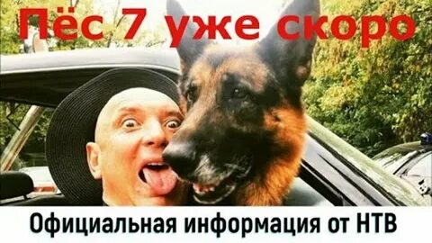 А когда будет пес