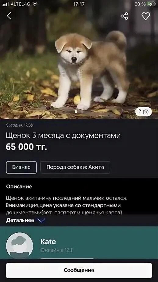 Как быстрее продать собаку. Как быстрее продать собаку
