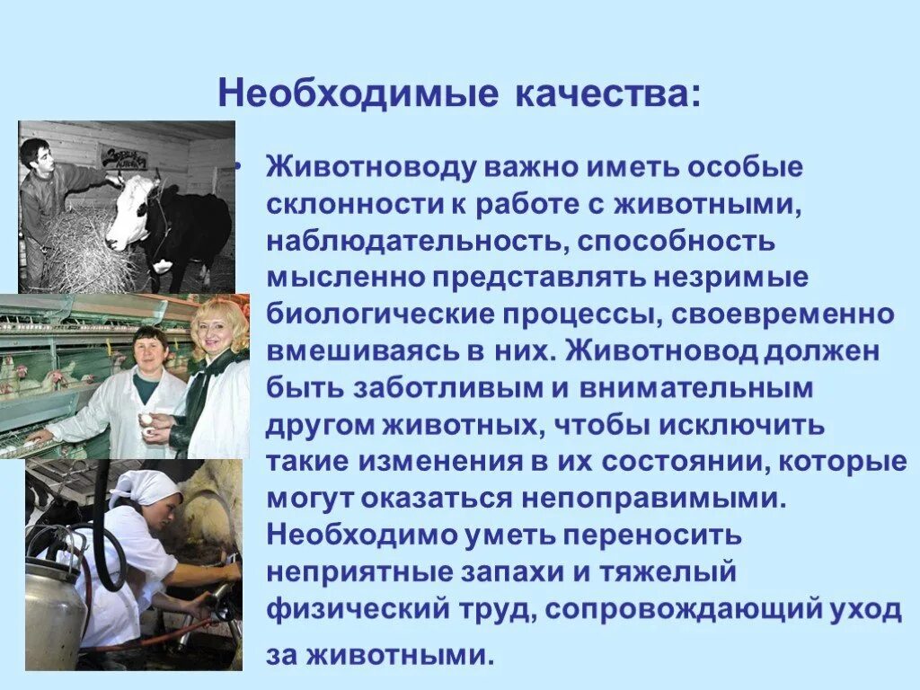 Профессия животновод. Презентация профессии животноводов. Качества животновода. Сообщение о профессии животноводства. Все необходимые качества и будет