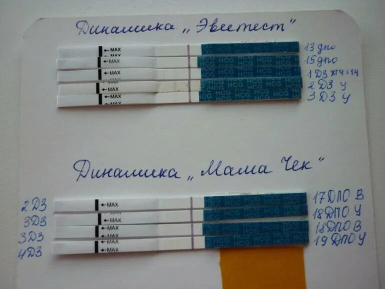 Беременность на тесте после месячных. Тест после имплантационного кровотечения. тест на беременность после имплантации. биохимическая беременность на тестах. имплантационное кровотечение и тест на беременность.