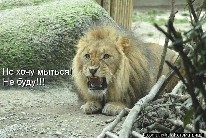 не буду мыться. хочется помыться. мальчик не хочет умываться. не хочу мыться. дельво, н.