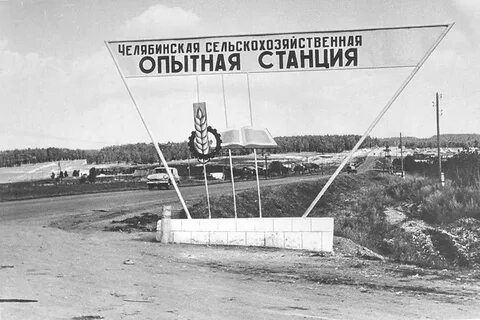 Ни опытная